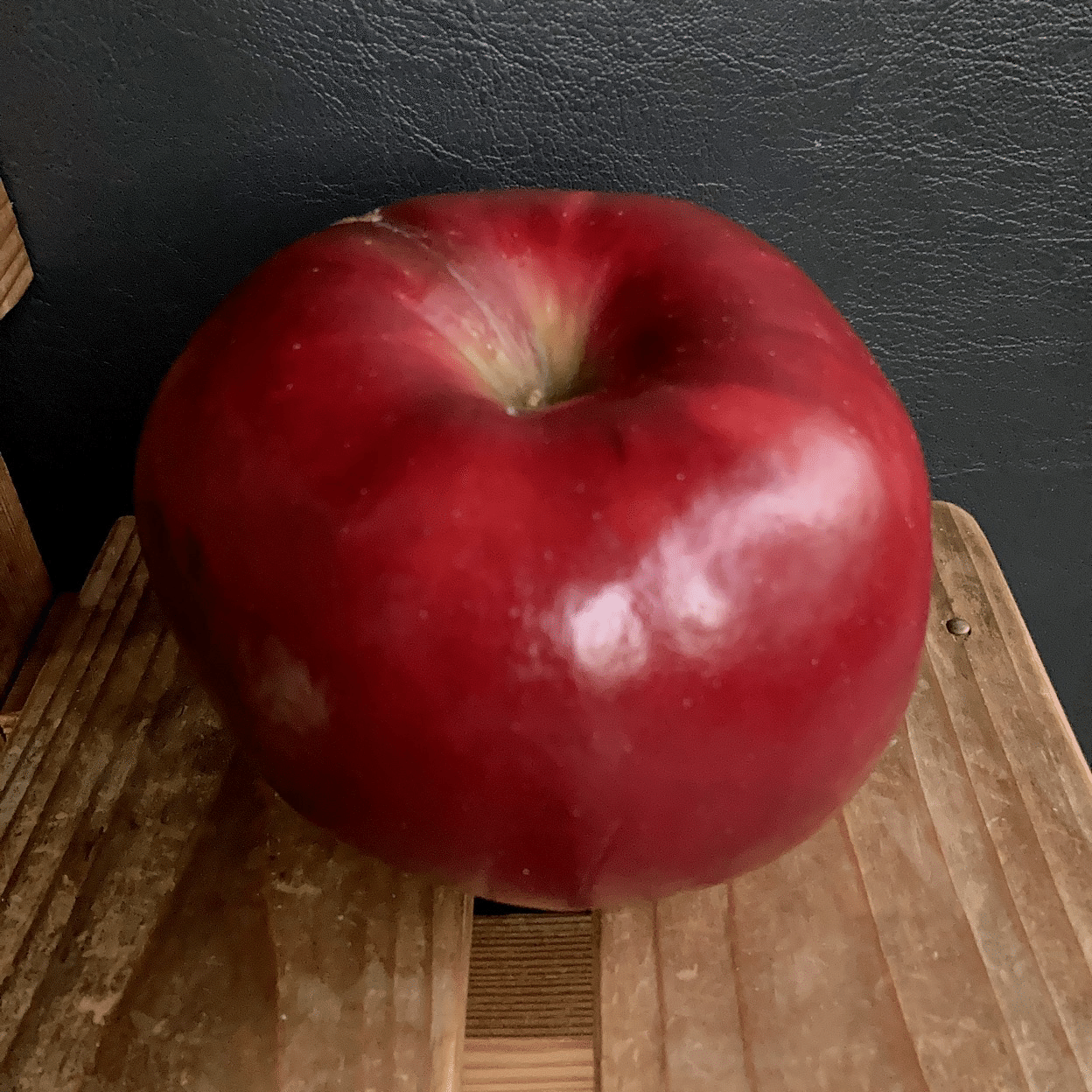 りんご可愛や、可愛やりんご｜古谷 真知子：家庭料理のコンシェルジュ