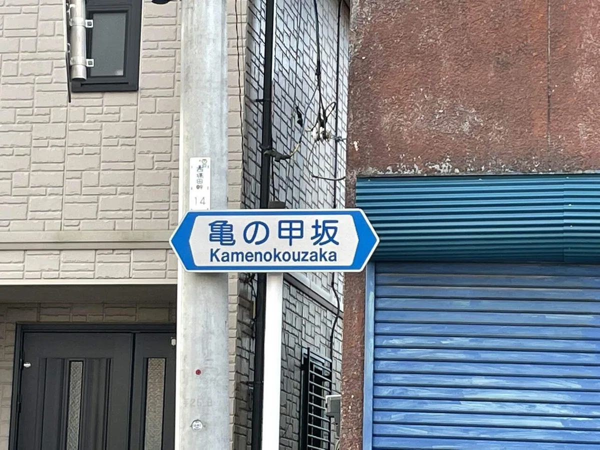 画像14