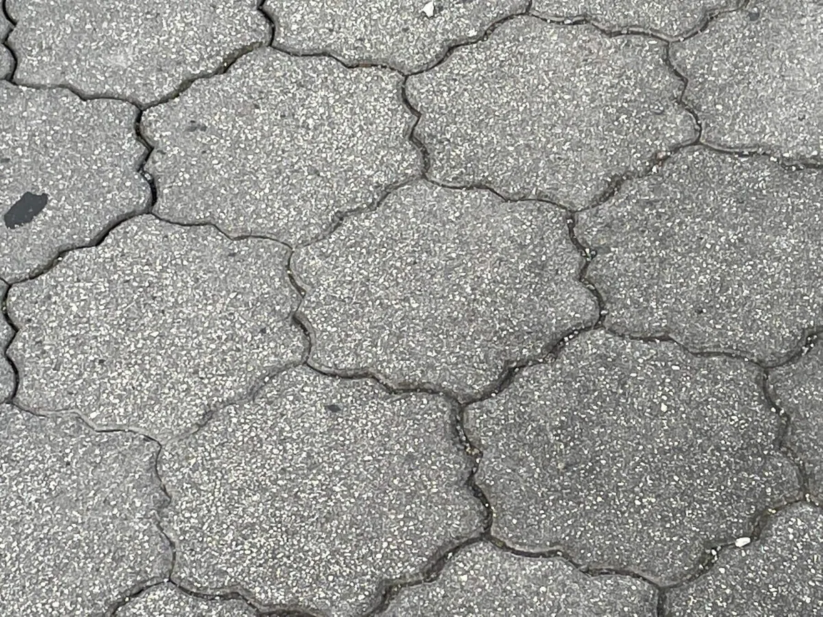 画像15