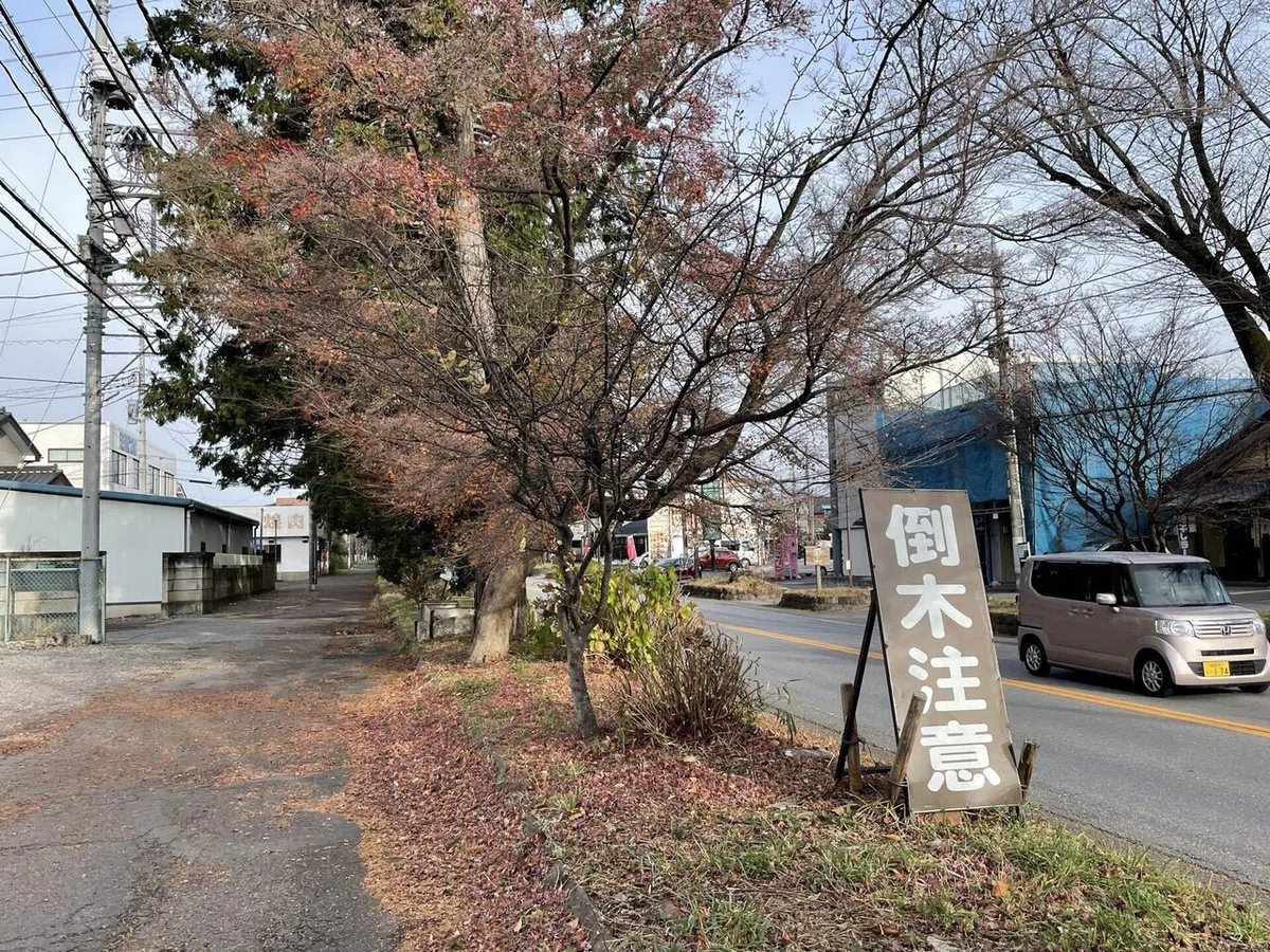 画像38
