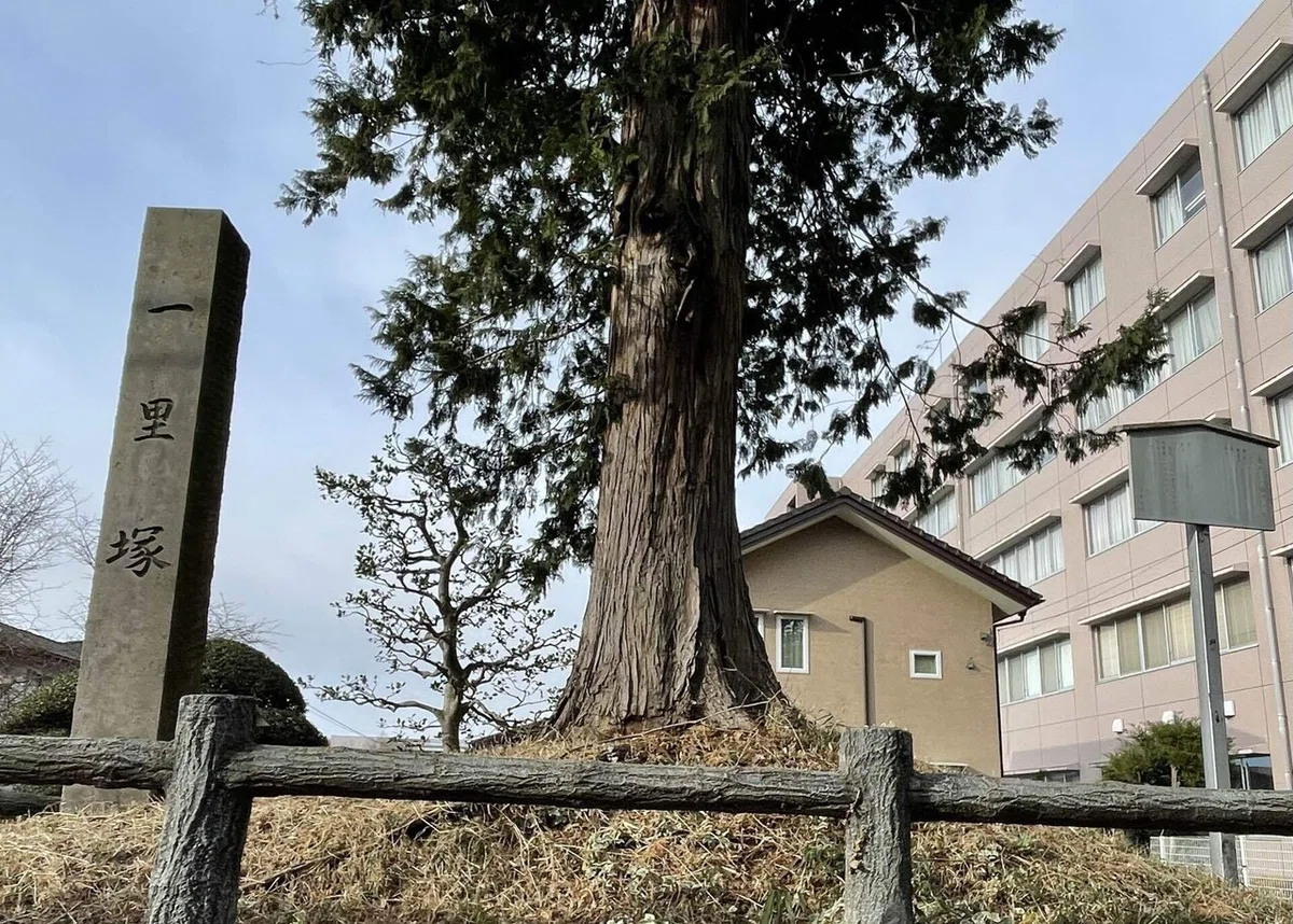 画像46