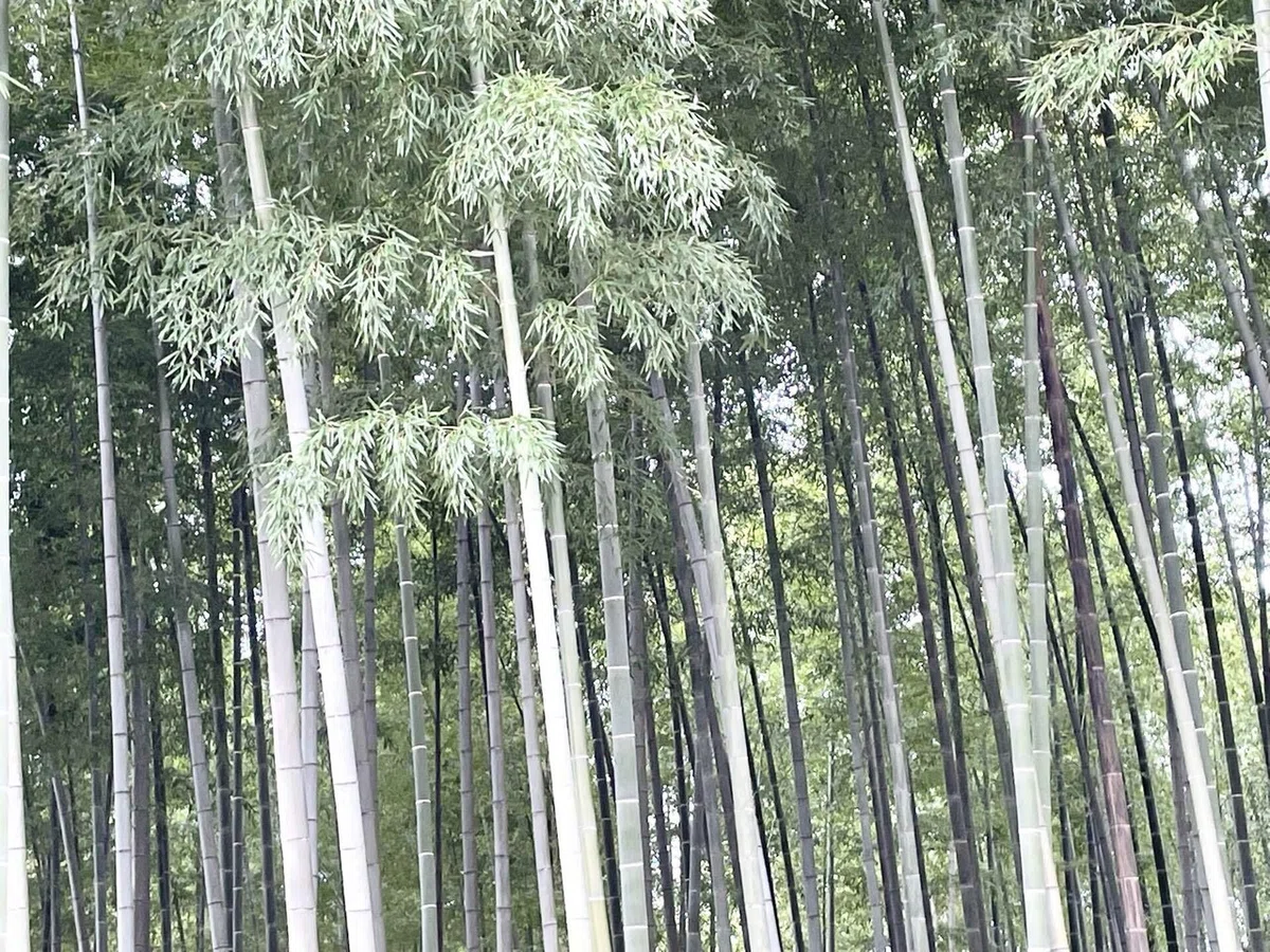 画像63