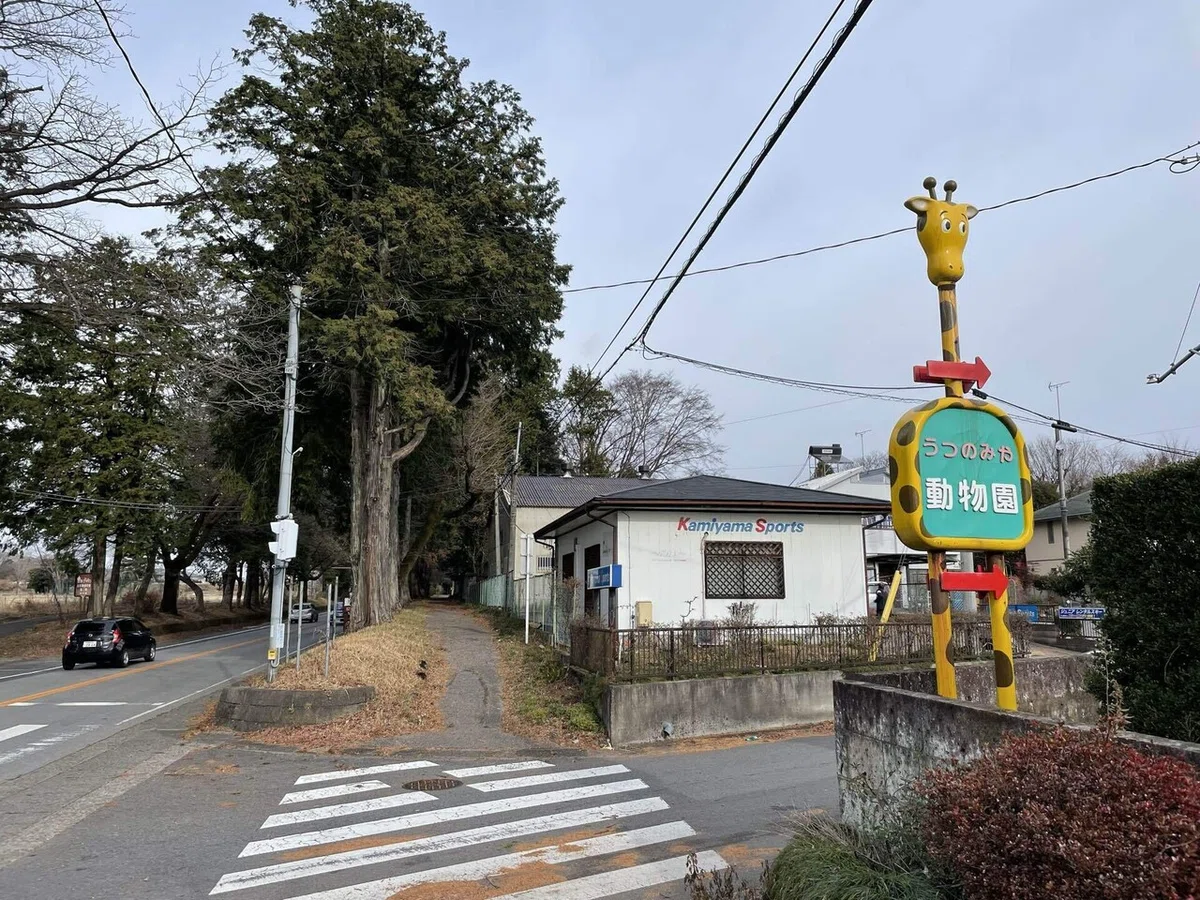 画像79