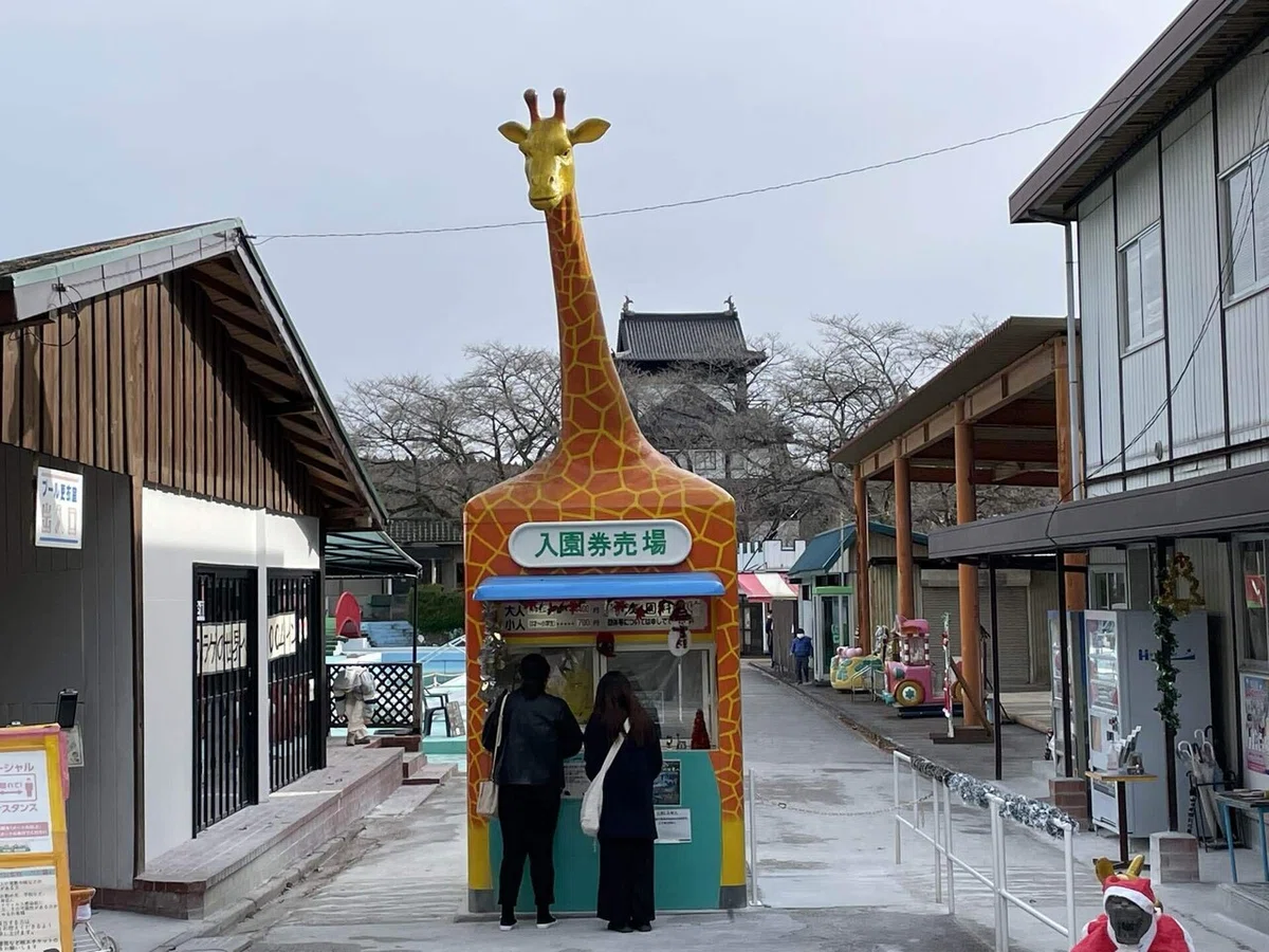 画像81