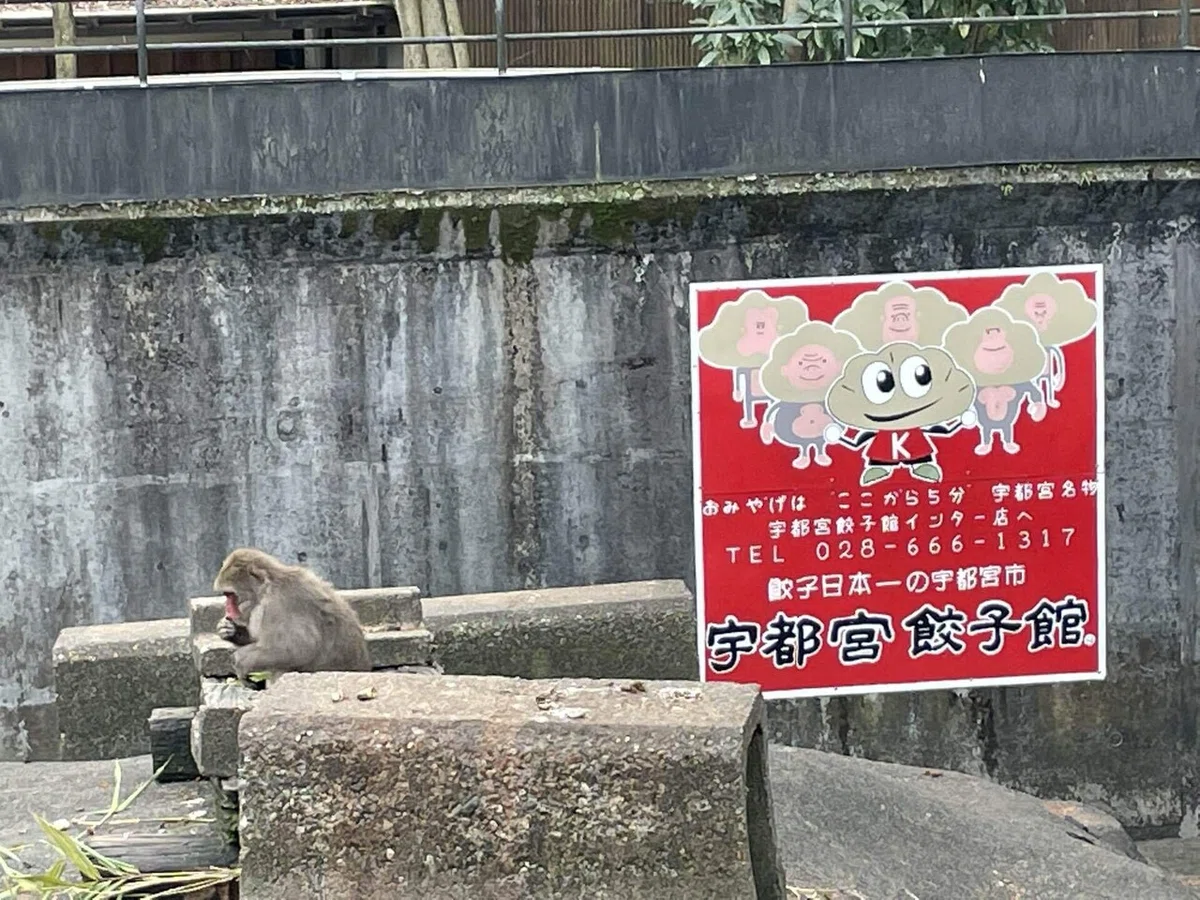 画像86