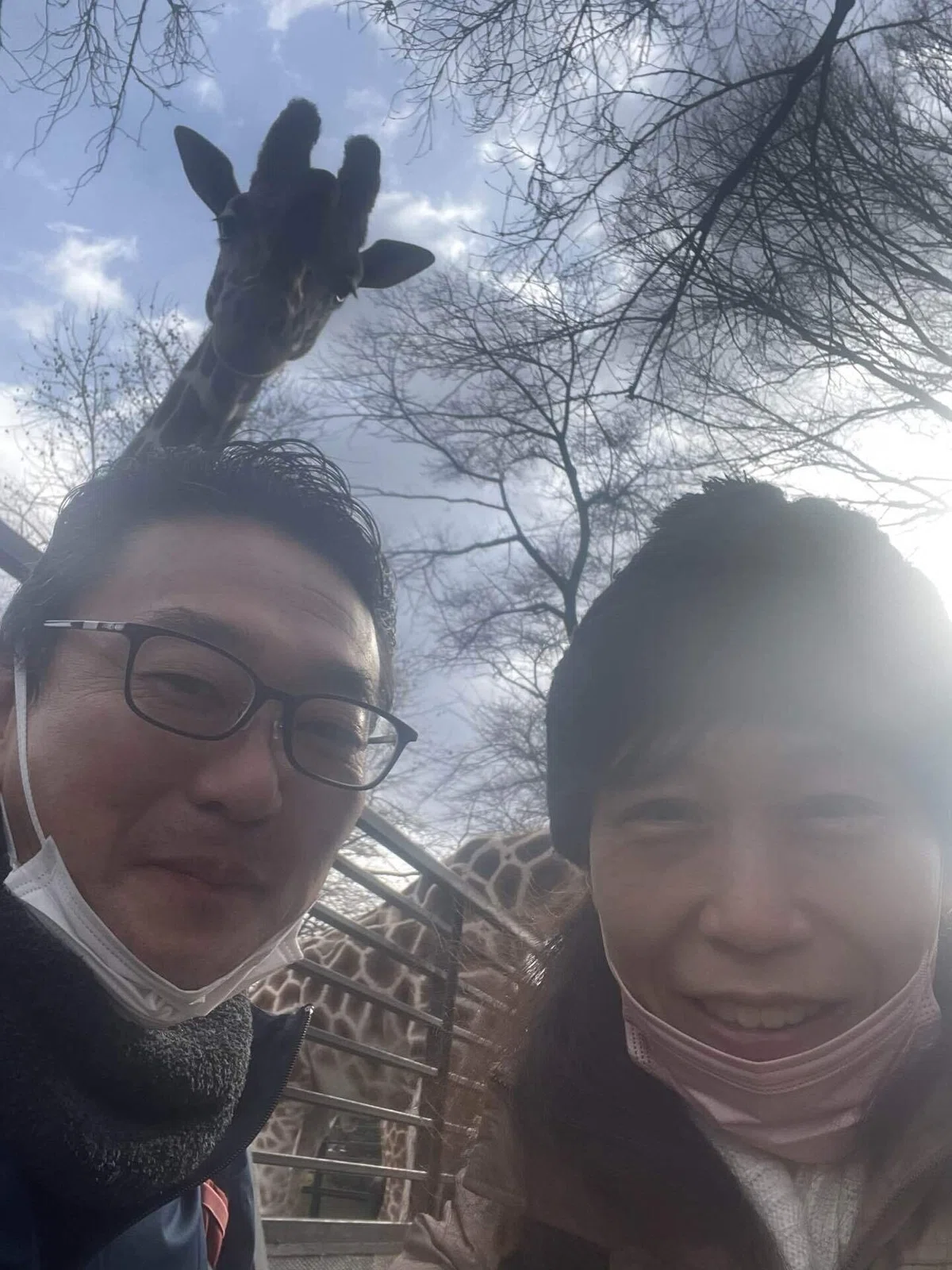 画像94