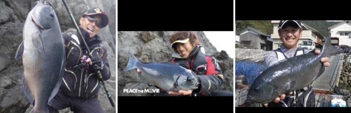 釣った魚を ミセル 写真の撮り方 Okada Tsuri Note