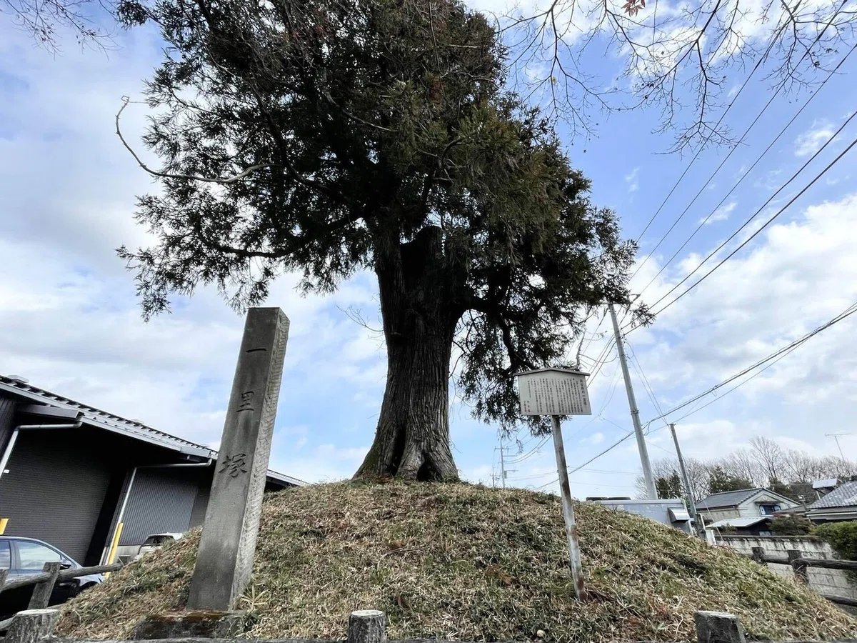 画像97