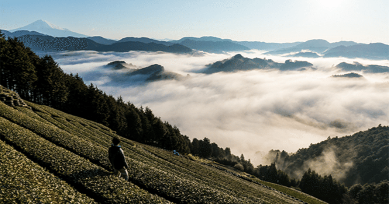 豪雨災害から奇跡の復活！「天空の茶畑｜豊好園」 その特別茶を届ける