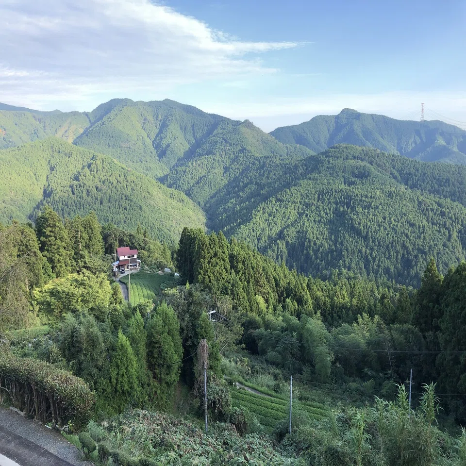 自転車日本一周wwoofの旅 35軒目 静岡県 アグリクエスト ファームファンタジー 仮 Umi 元シルクドゥソレイユ 役者 旅人 色々活動家 Note