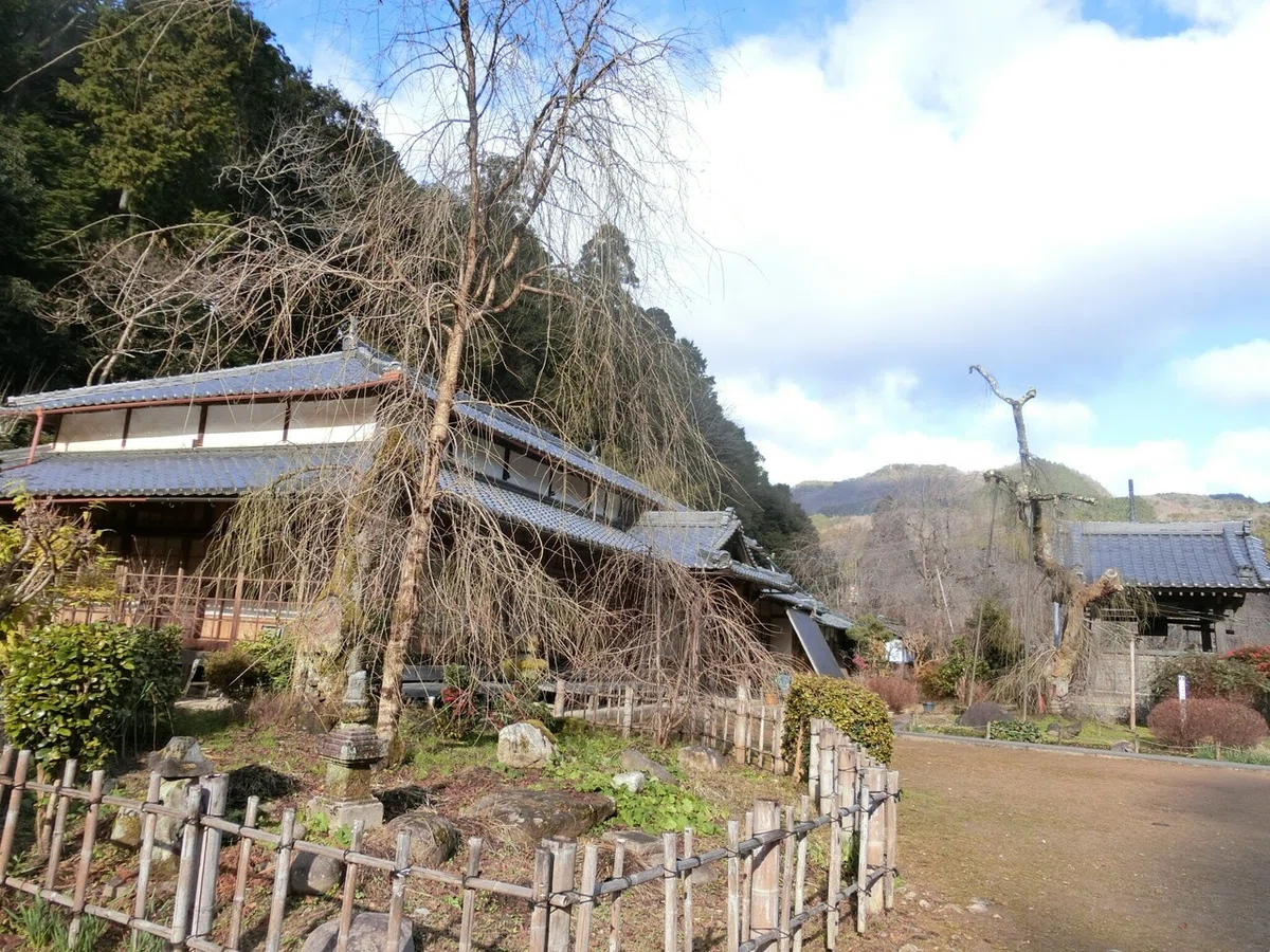 画像11