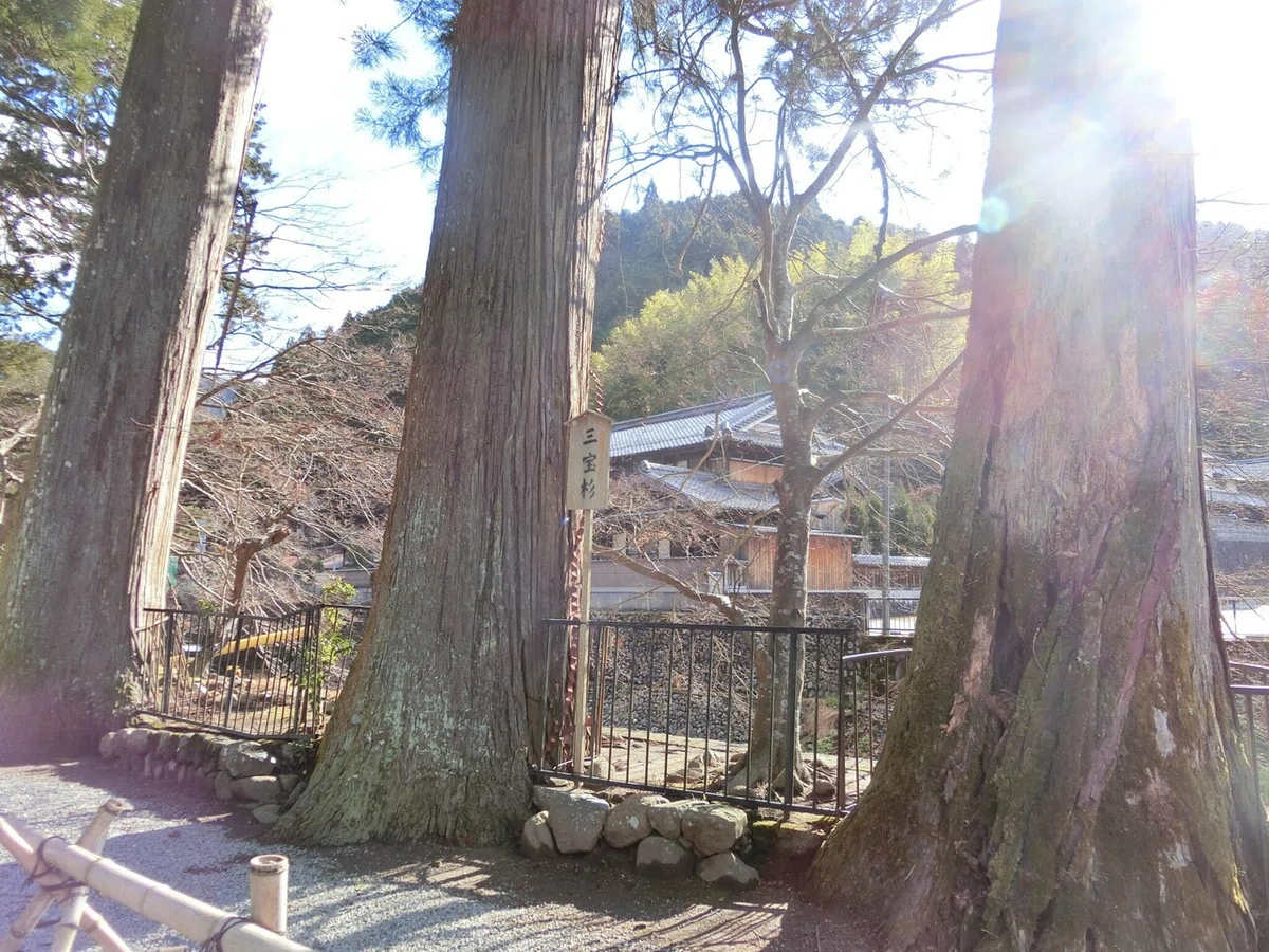 画像5