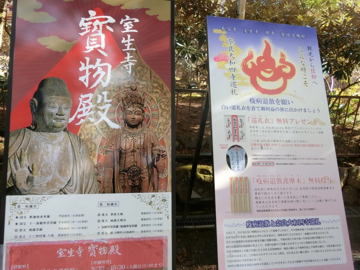 画像7