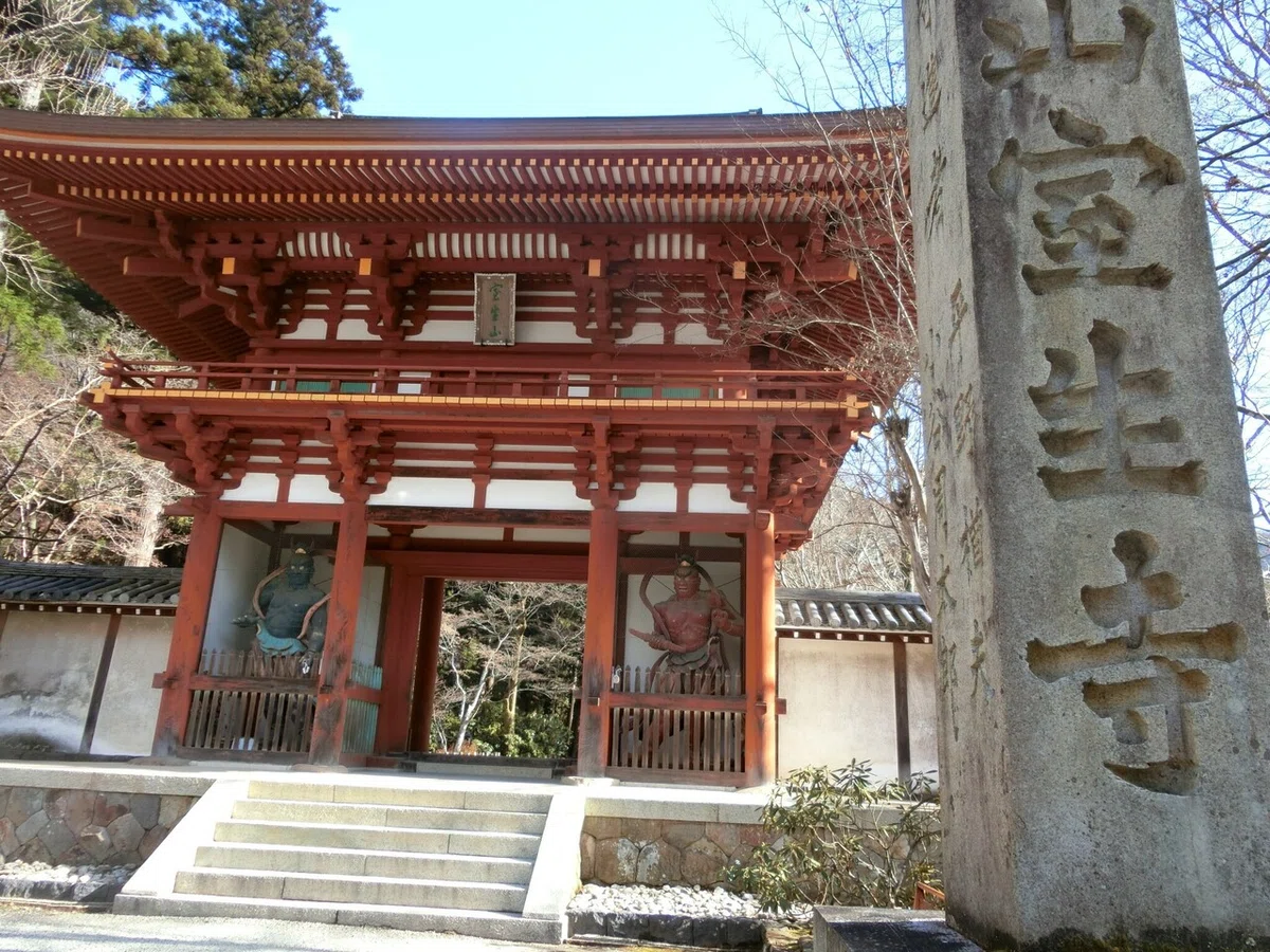 画像9