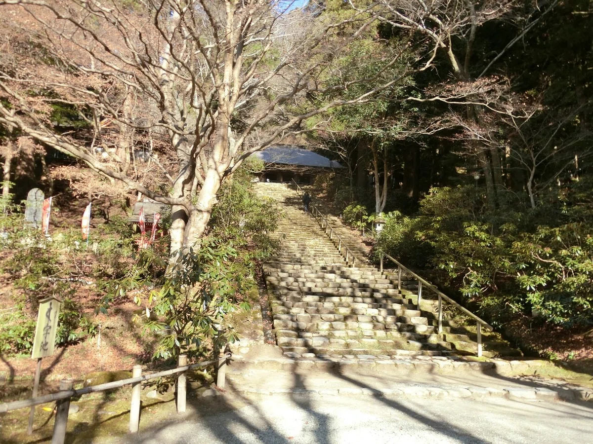 画像11