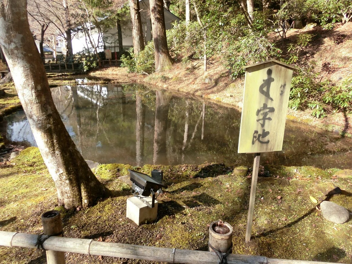 画像12
