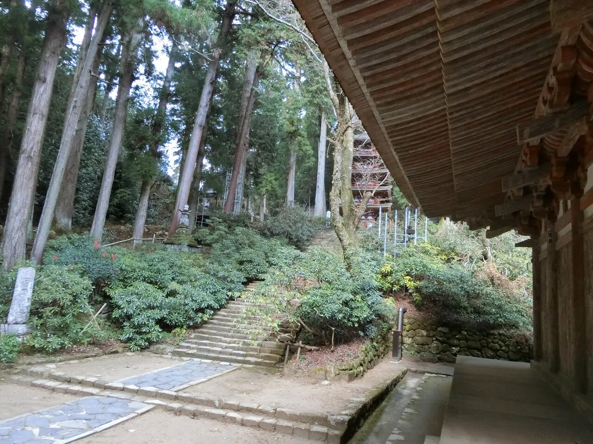 画像26