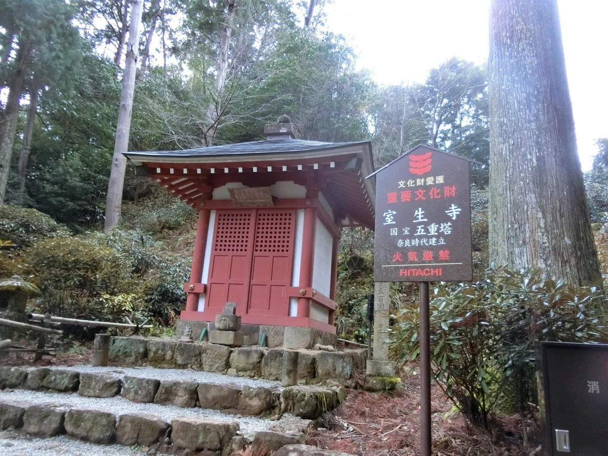 画像32