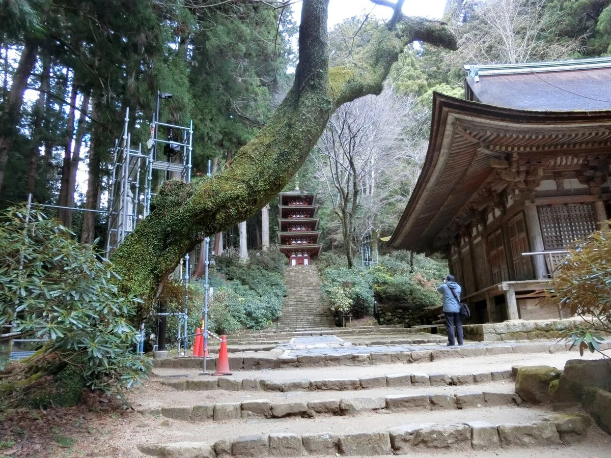 画像39