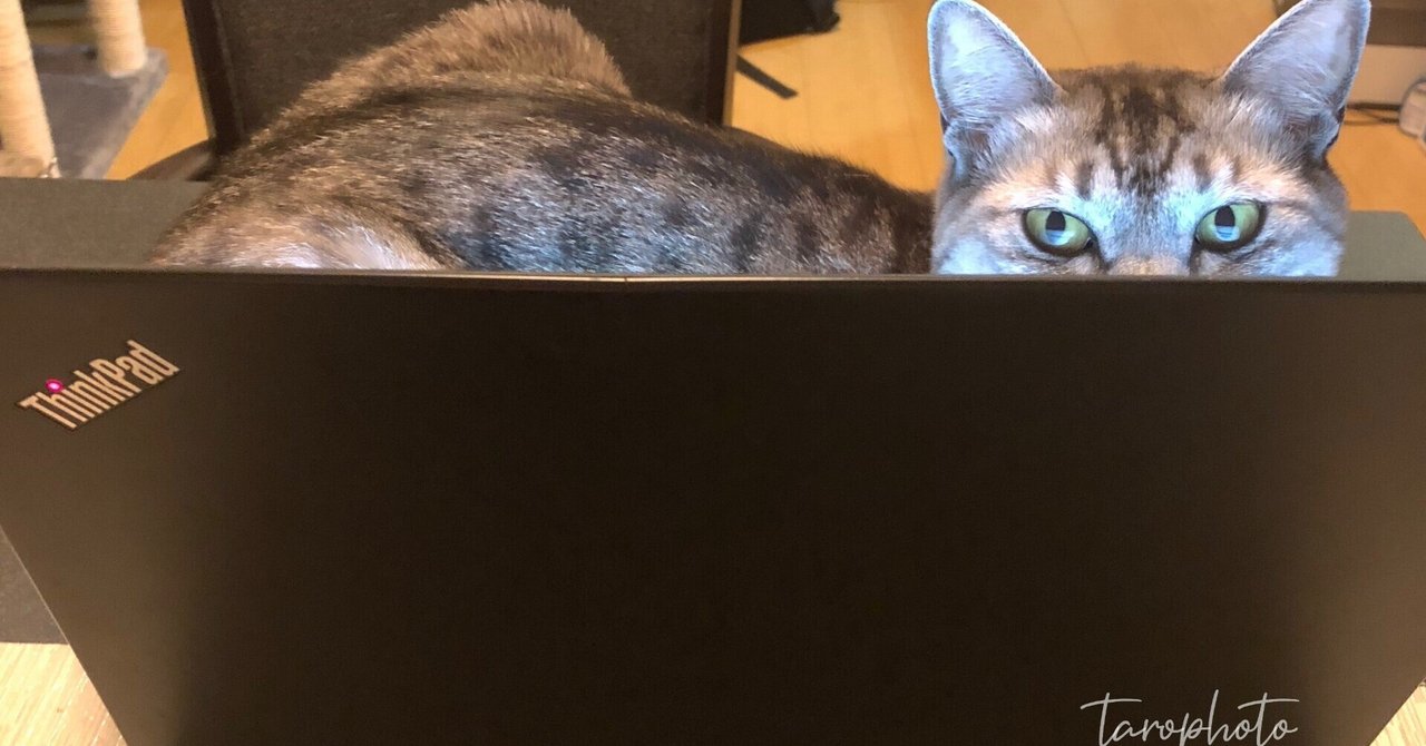 腰痛持ちが今年買った便利なもの｜夕遊｜noteのアイキャッチ画像