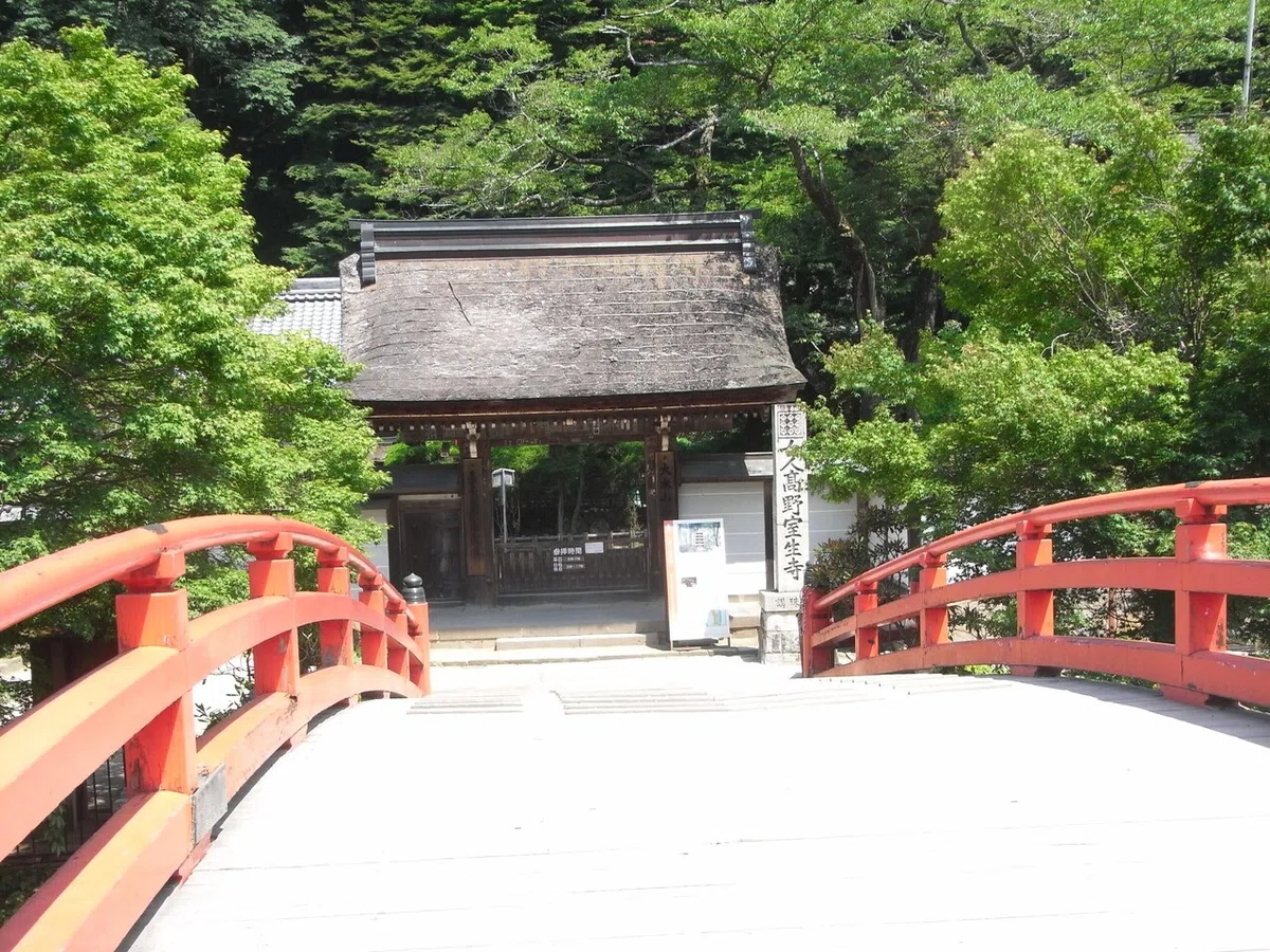 画像48