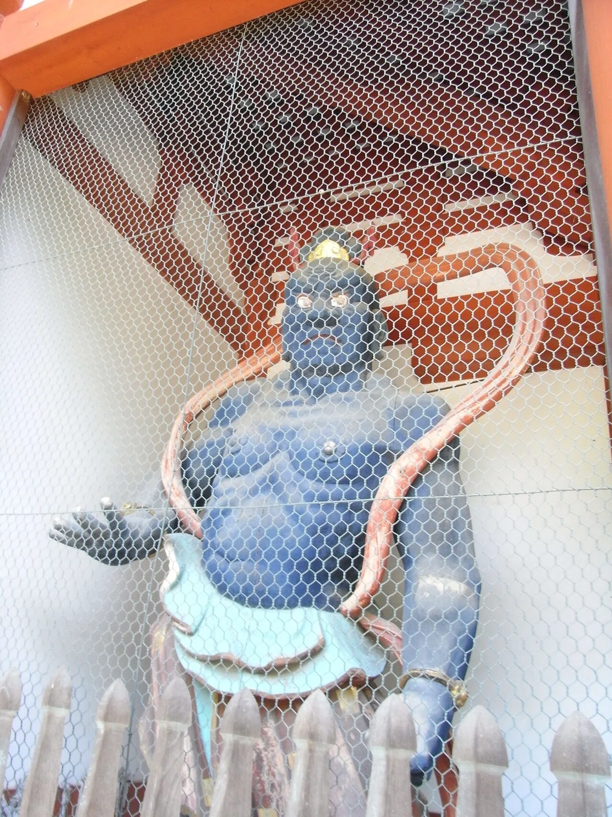 画像50