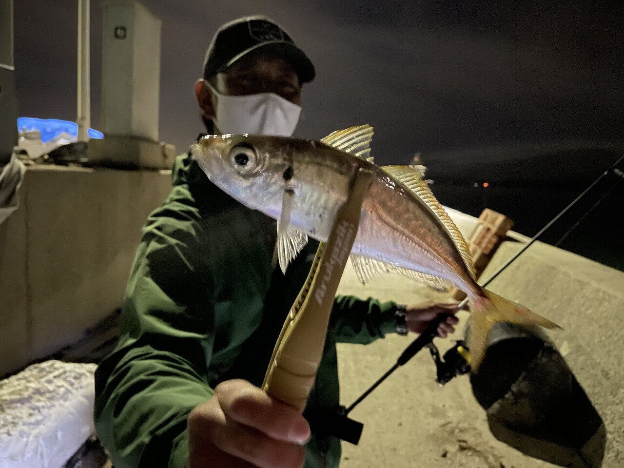 釣った魚を ミセル 写真の撮り方 Okada Tsuri Note