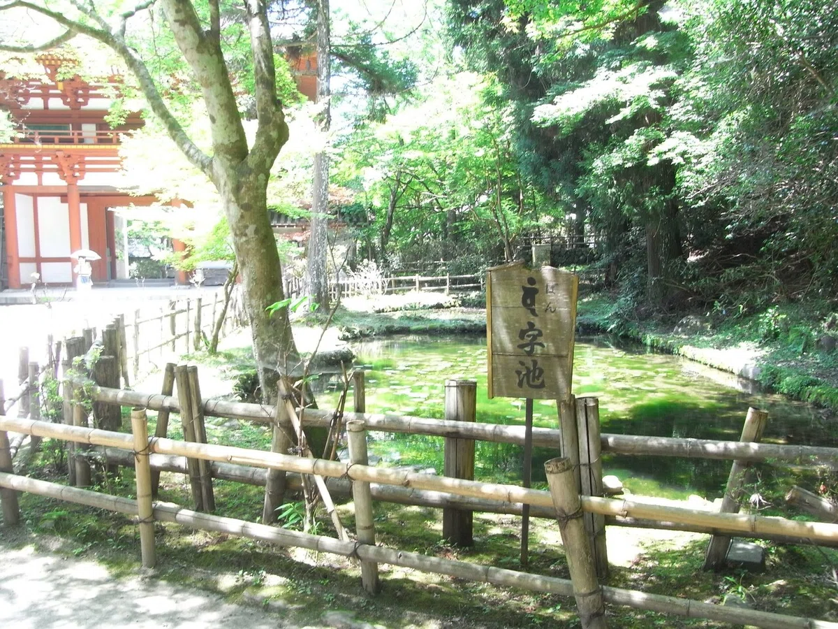 画像53
