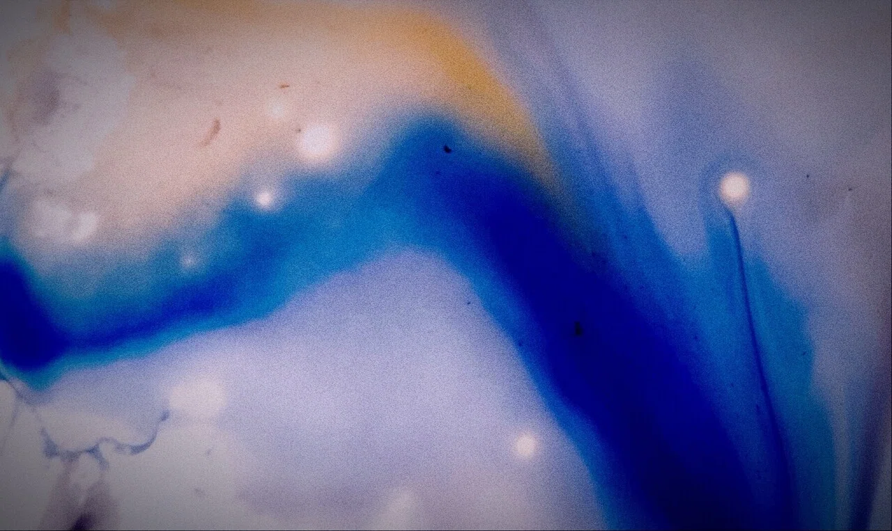 画像7