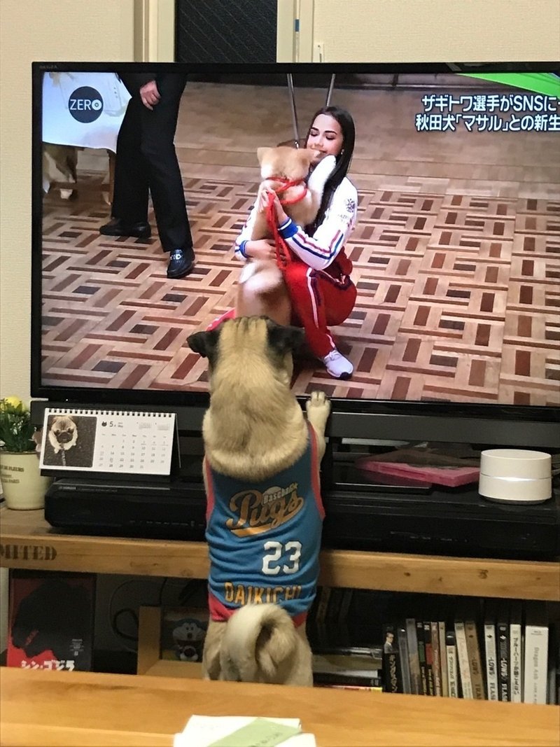 吠えない犬は犬じゃないんだ パグ ピースvol 19 ケンスケ コバヤシ パグ ピース Note