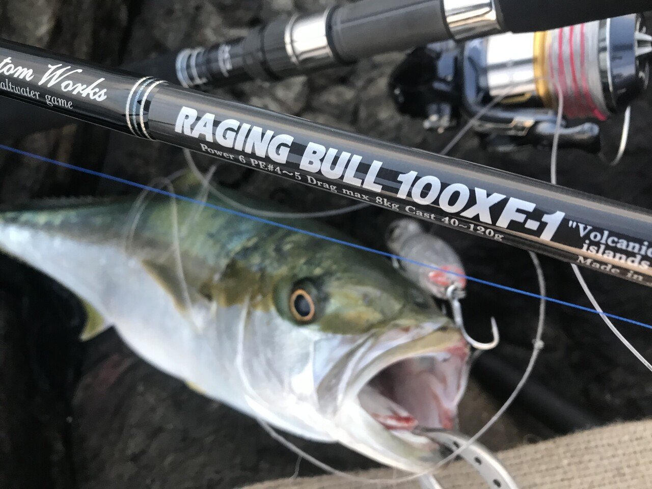 釣った魚を ミセル 写真の撮り方 Okada Tsuri Note