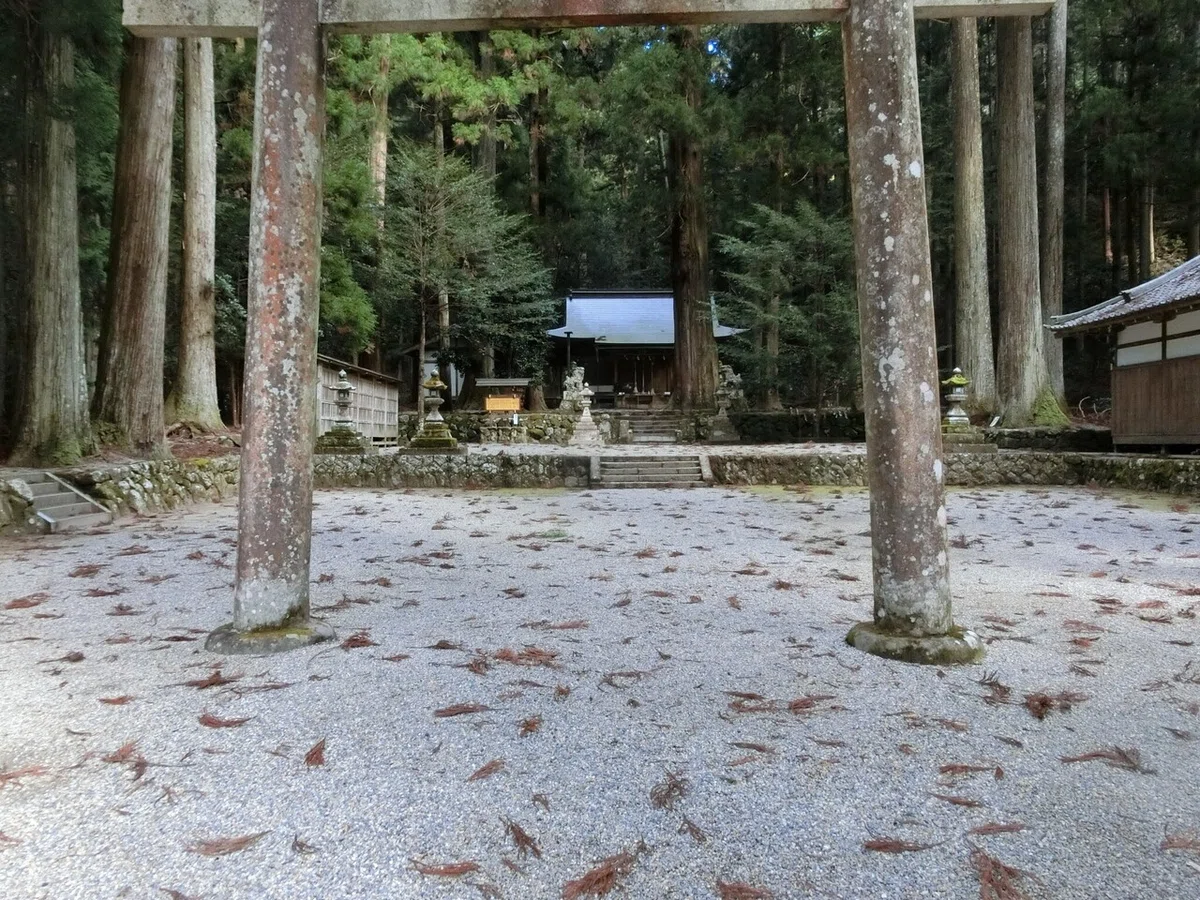 画像2