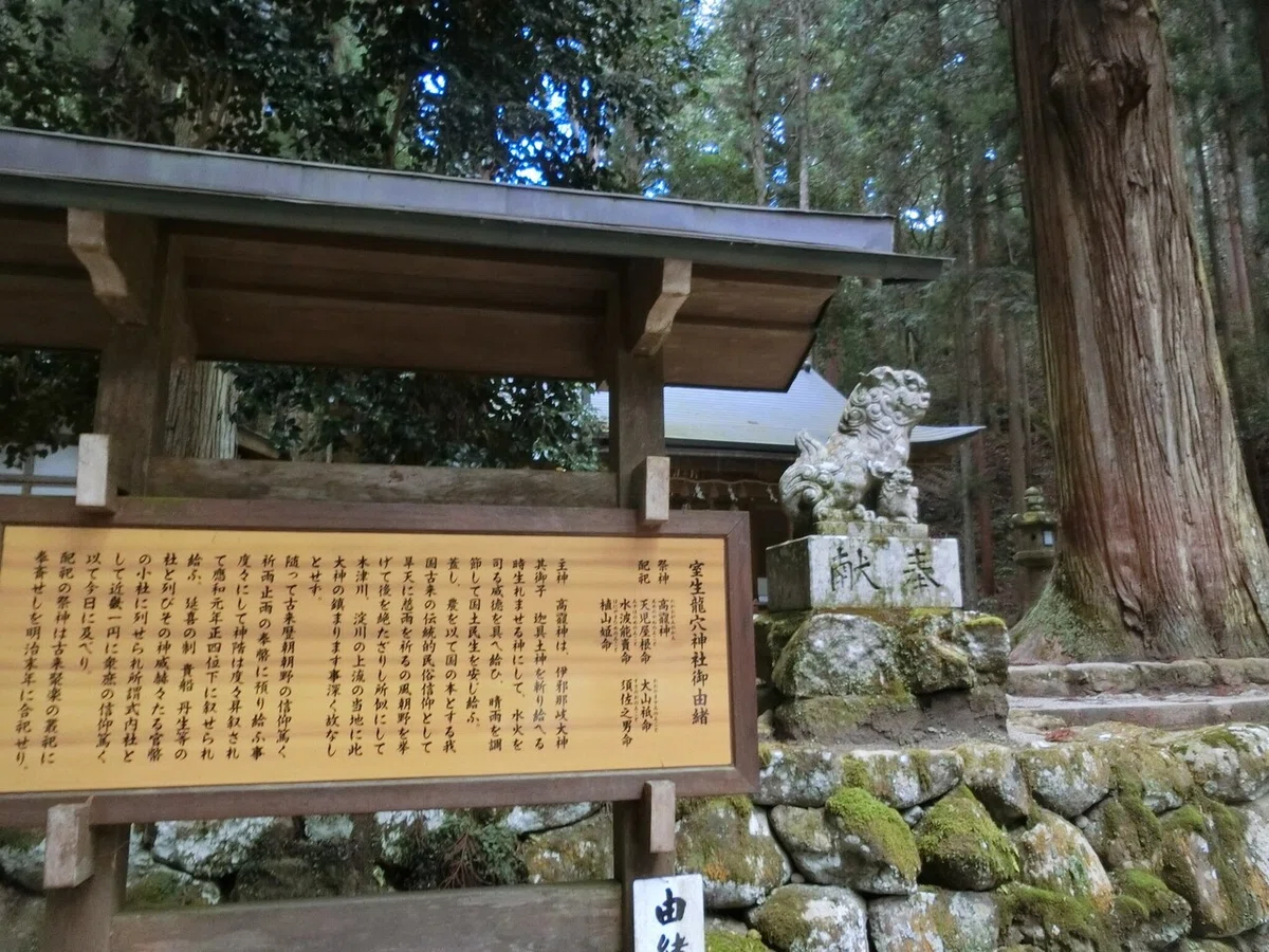画像7