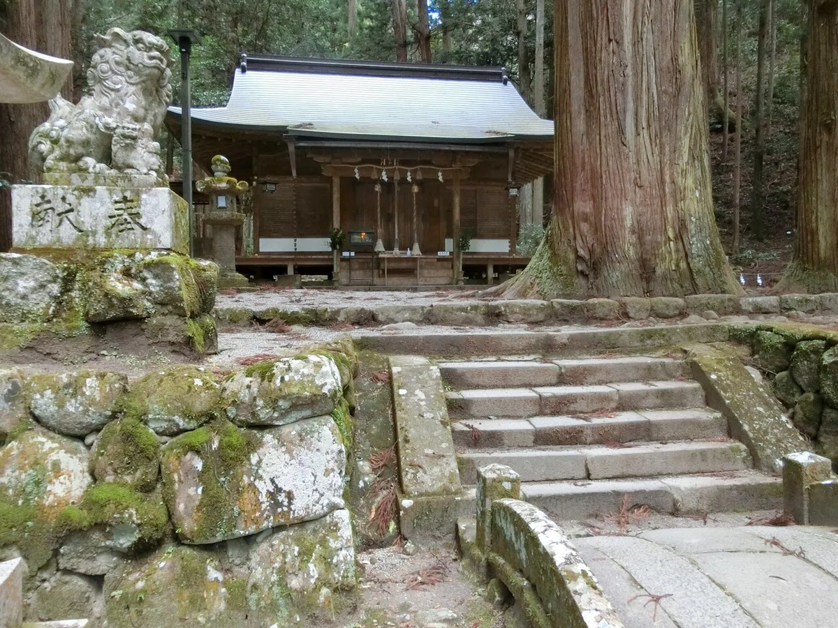 画像8