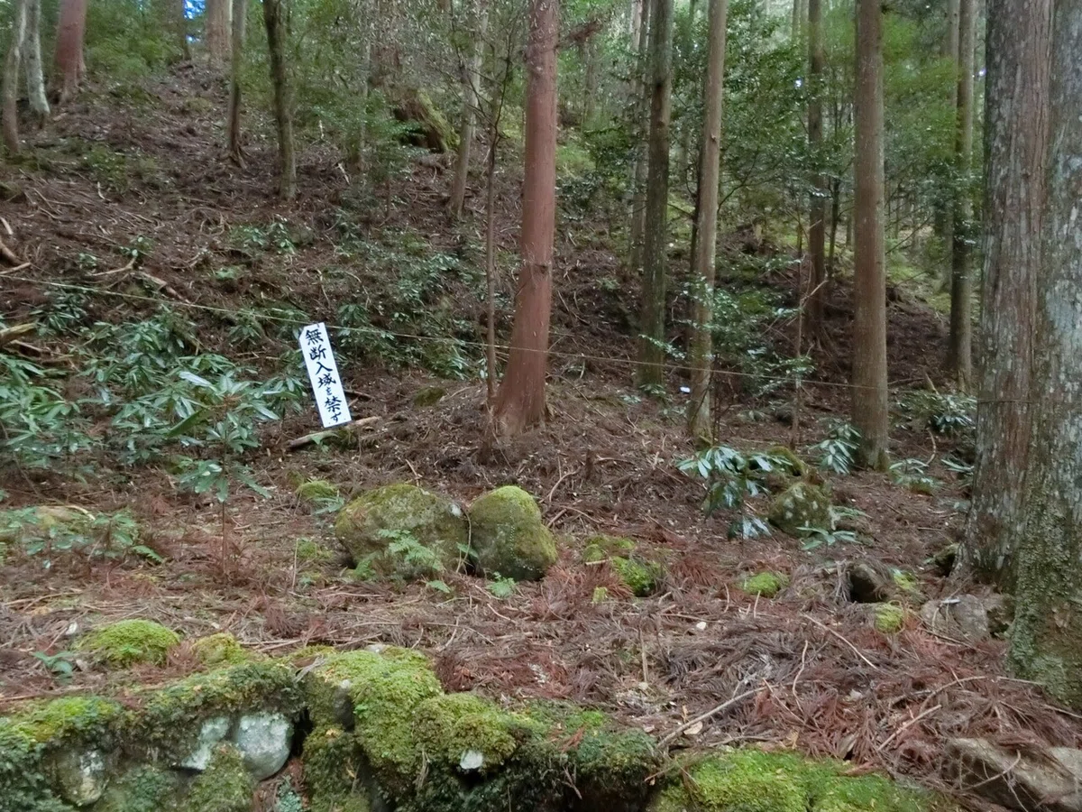 画像12