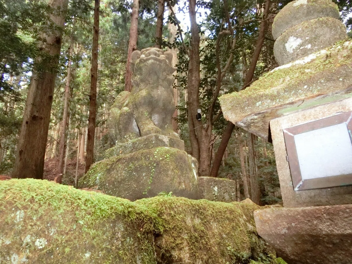 画像16