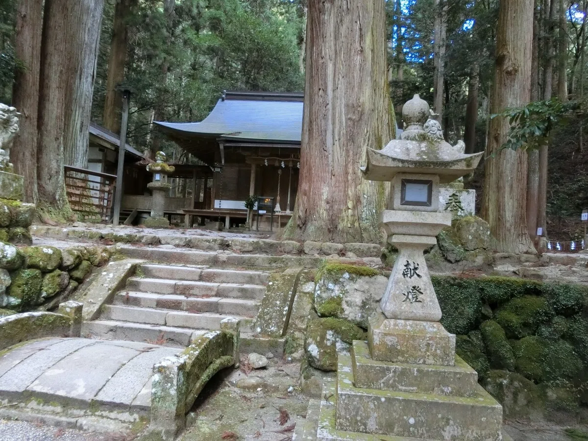 画像18