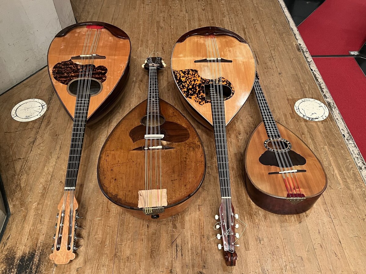 渡辺/watanabe セミオーダー マンドリン