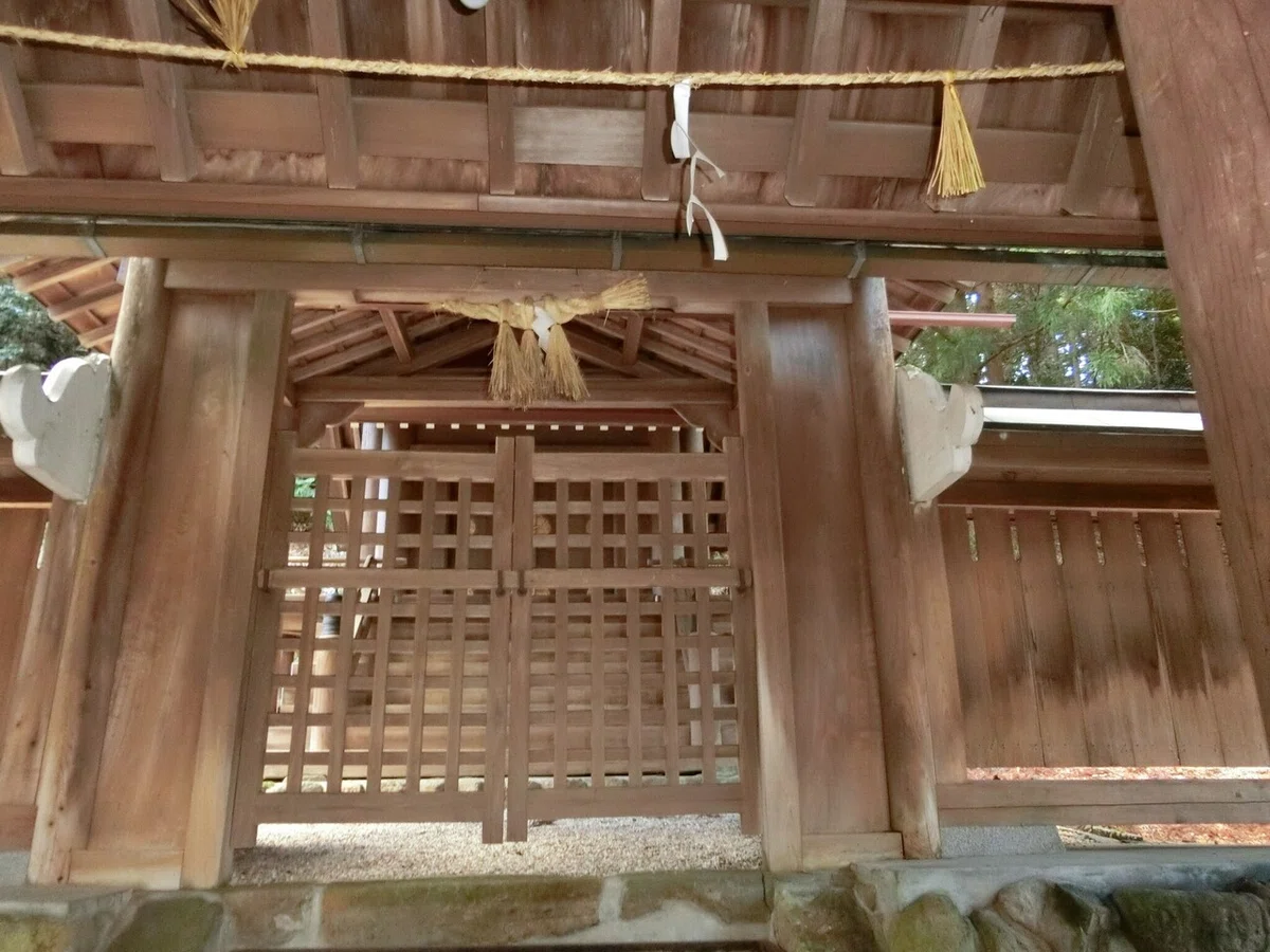 画像4