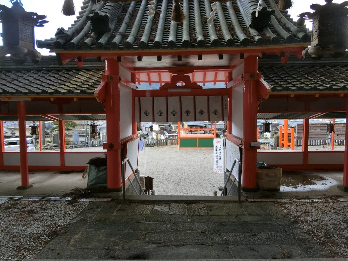 画像7