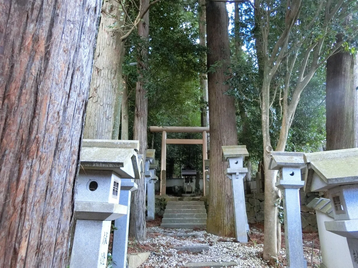 画像11