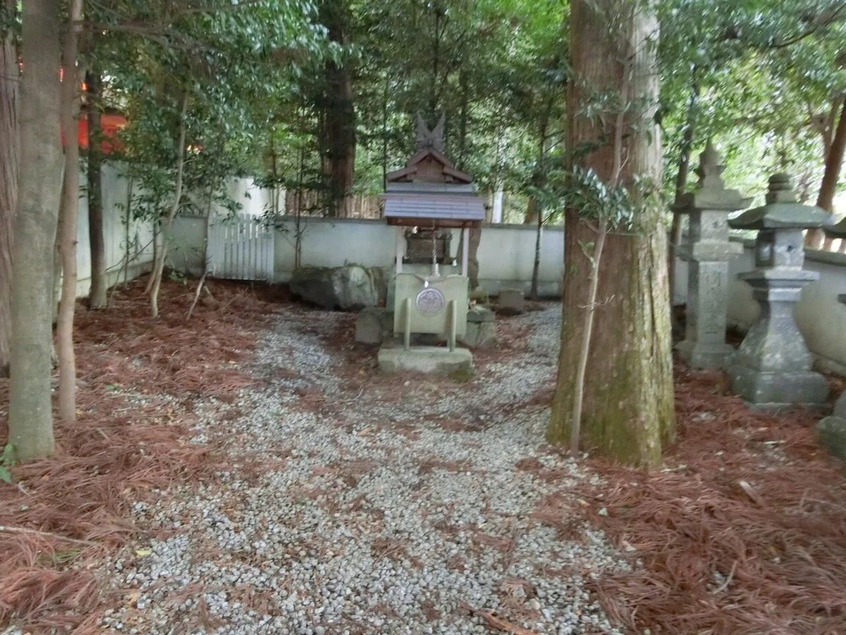 画像12