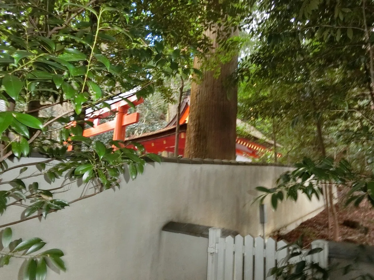 画像15