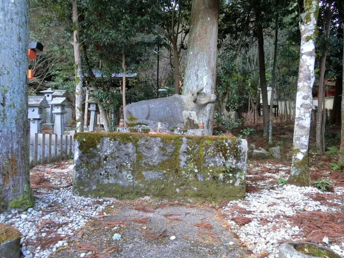 画像19