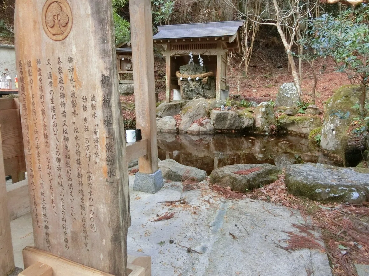 画像21