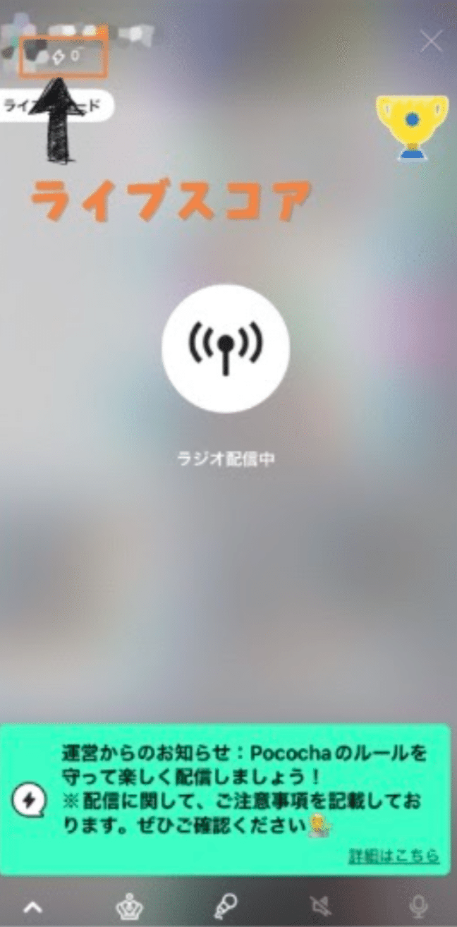 Pococha】Pocochaの基礎知識｜mikan_pococha