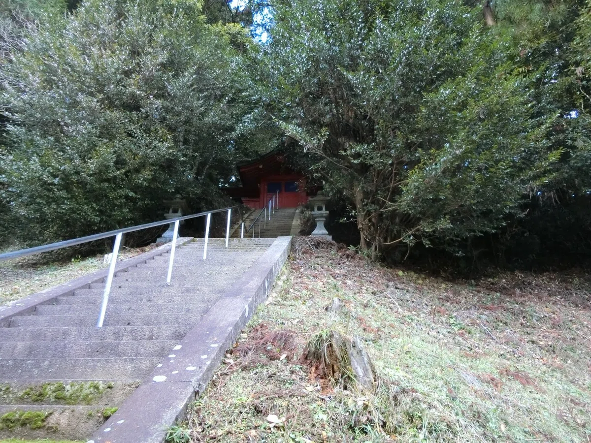 画像9