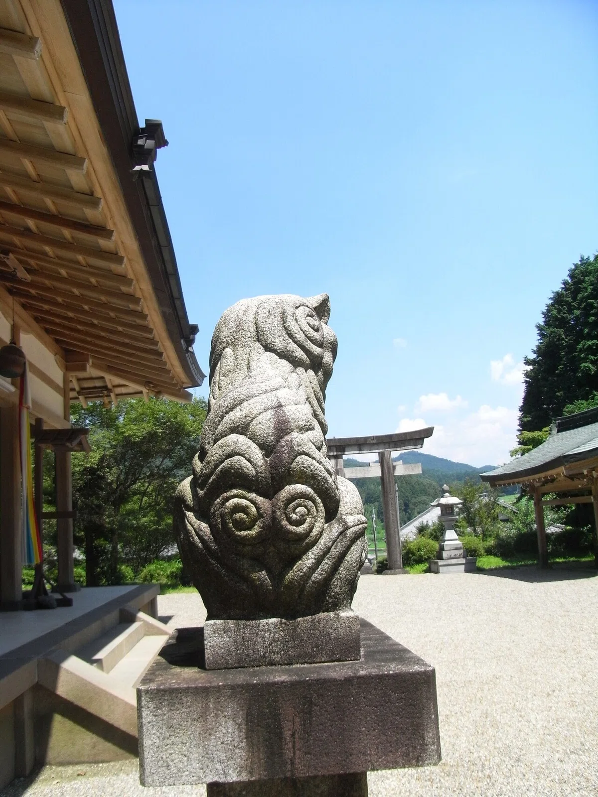 画像12