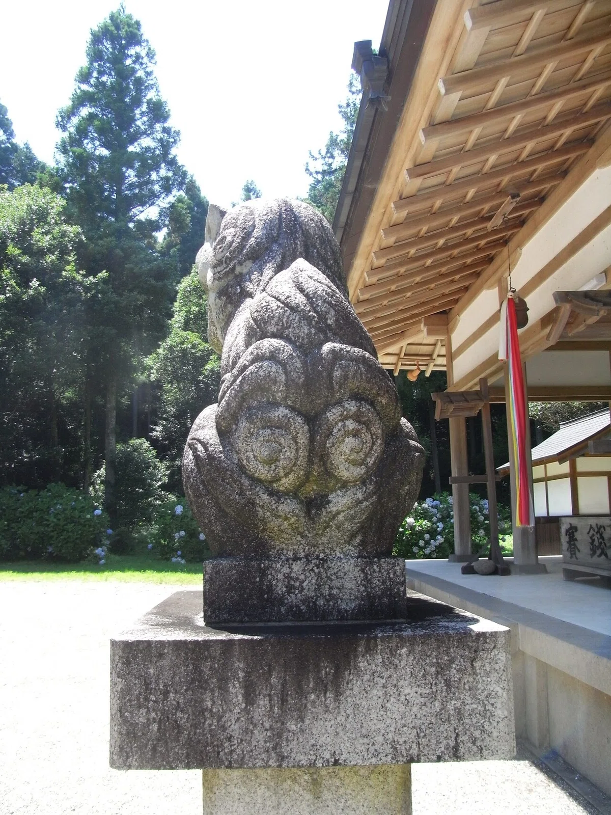 画像13