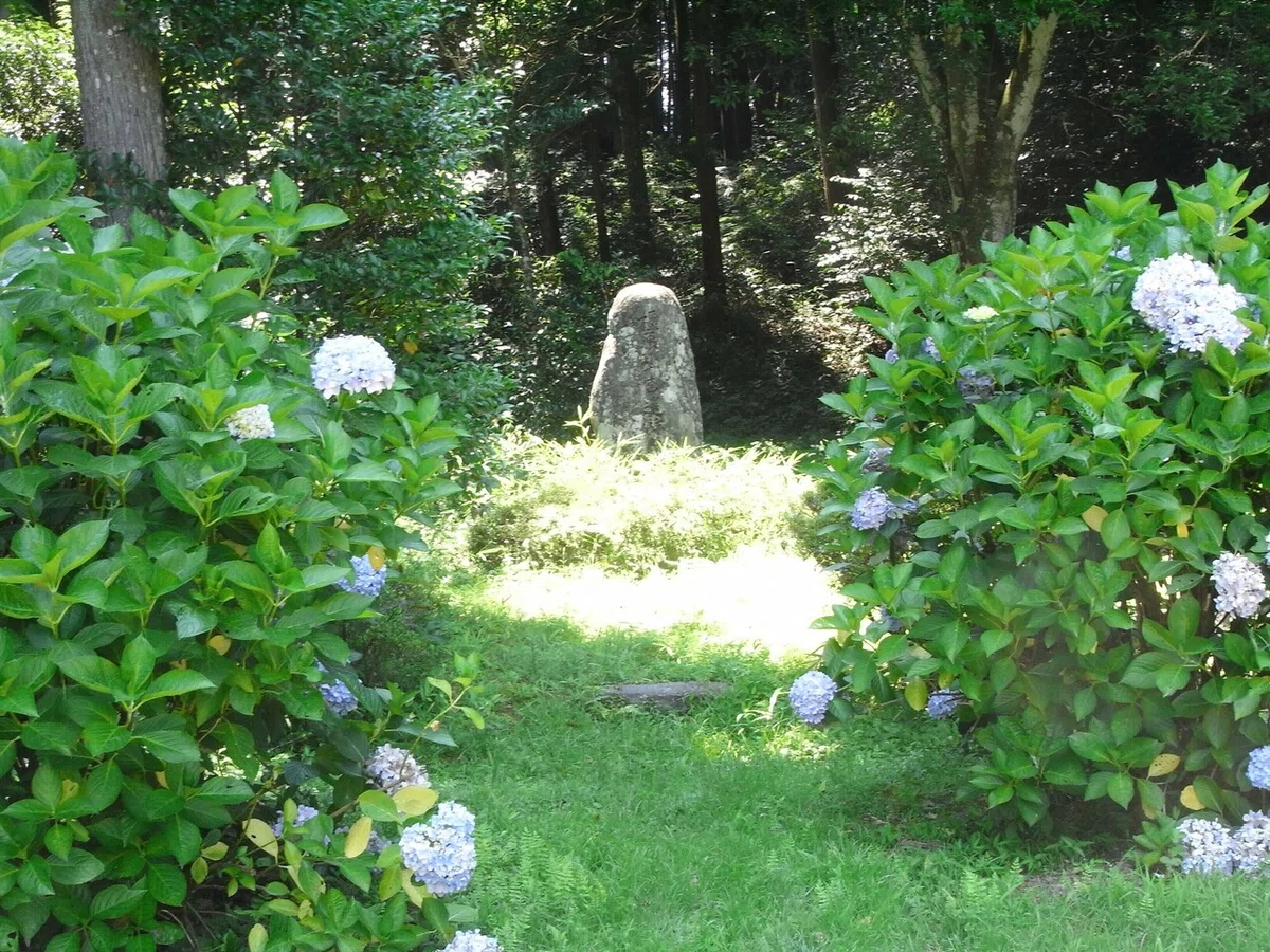 画像14